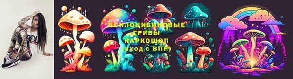 ГАЛЛЮЦИНОГЕННЫЕ ГРИБЫ Россошь