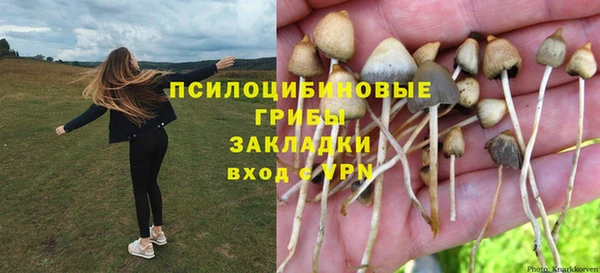 гидропоника Ростов