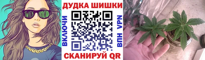 МАРИХУАНА Amnesia  Купить где  Тарко-Сале 